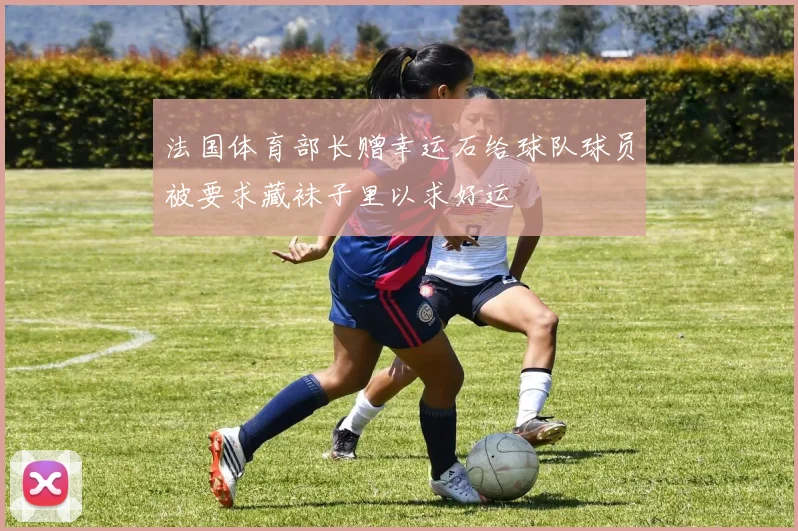 法国体育部长赠幸运石给球队球员被要求藏袜子里以求好运