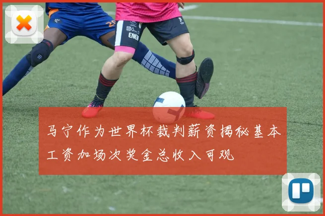 马宁作为世界杯裁判薪资揭秘基本工资加场次奖金总收入可观