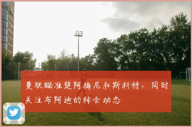曼联瞄准楚阿梅尼和斯科特，同时关注布阿迪的转会动态